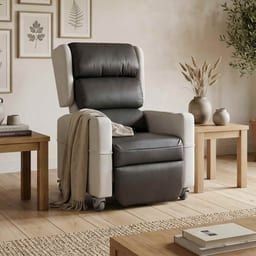 Homecare Riser Recliner chair